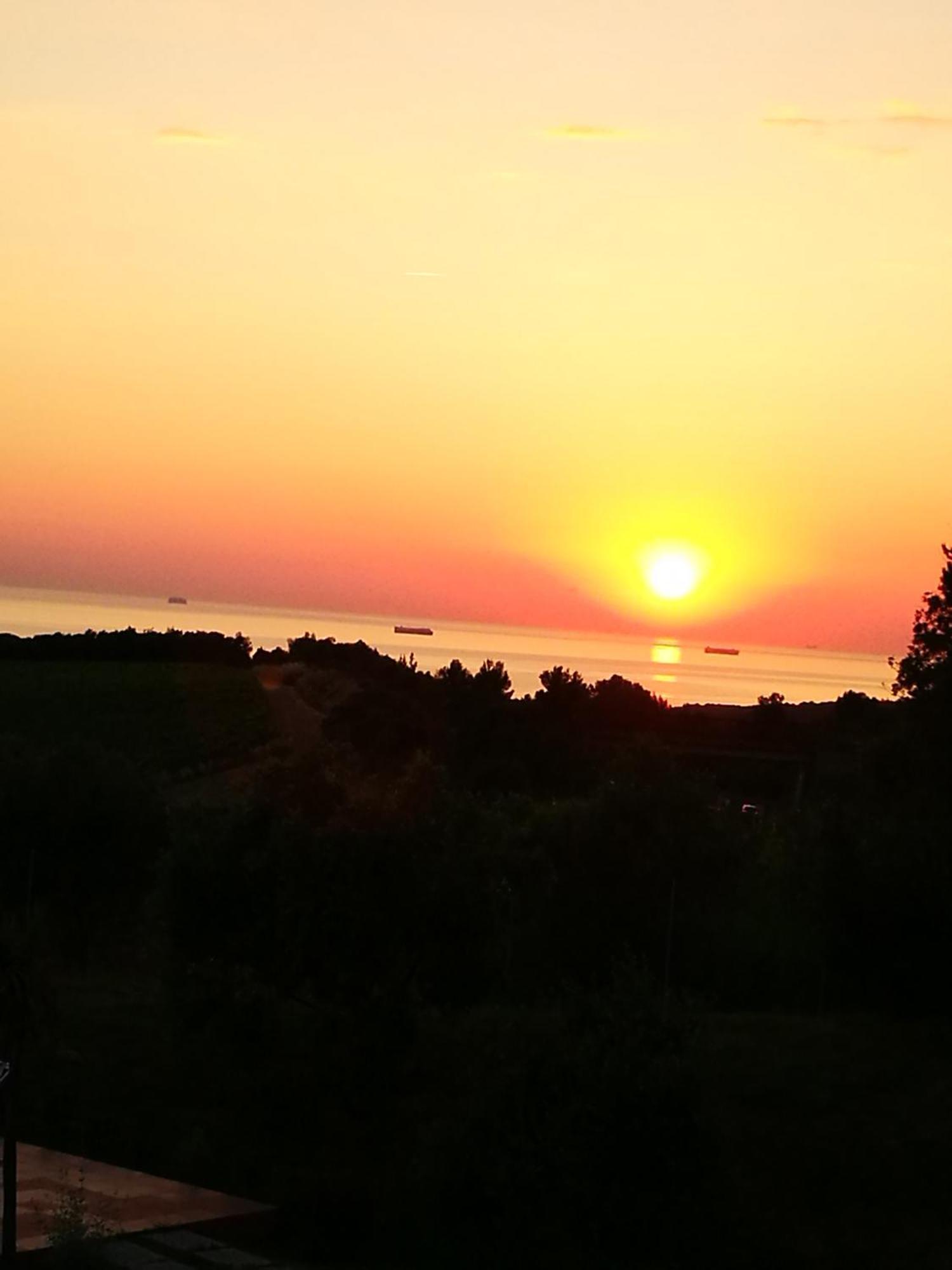 Suite Eleven Castiglioncello Εξωτερικό φωτογραφία