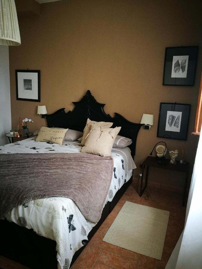 Suite Eleven Castiglioncello Εξωτερικό φωτογραφία